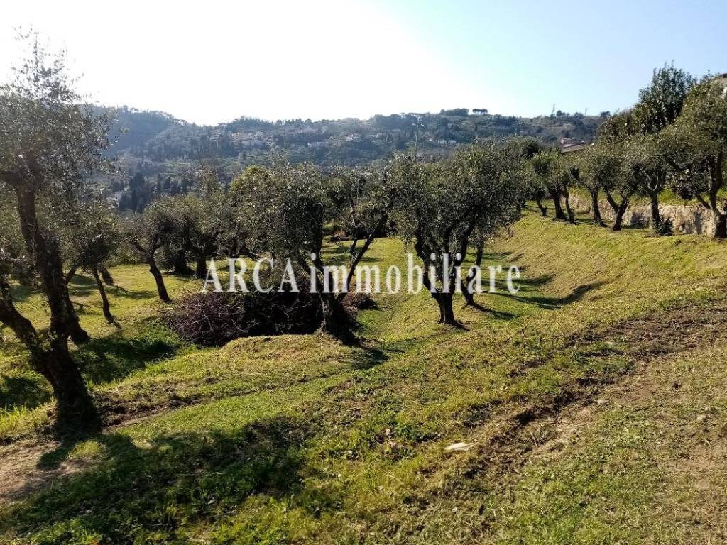 immagine annuncio 1 di 4