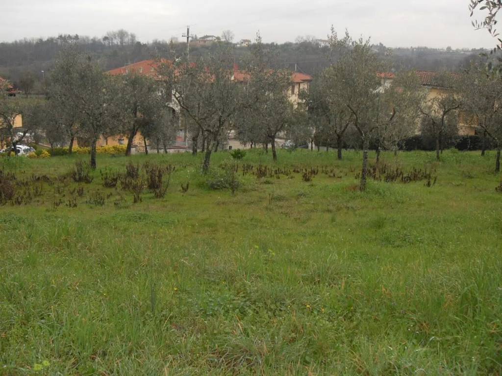 immagine annuncio 2 di 3