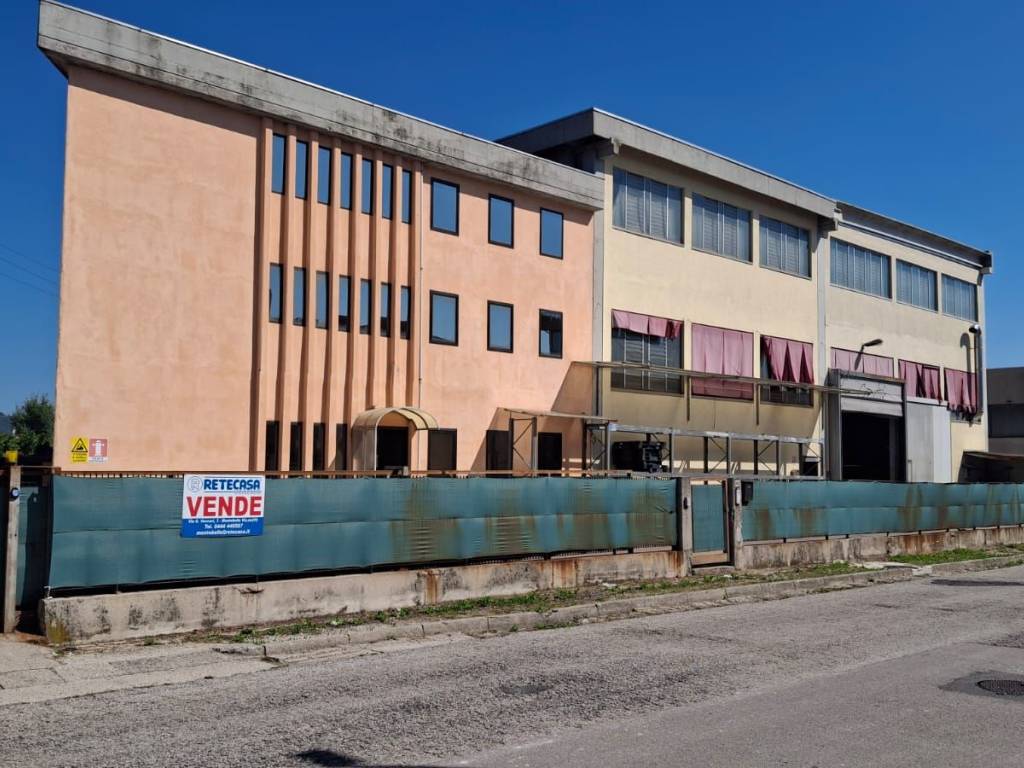 immagine annuncio 2 di 4