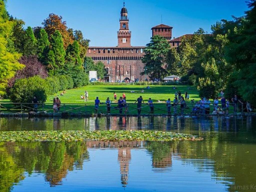 immagine annuncio 1 di 4