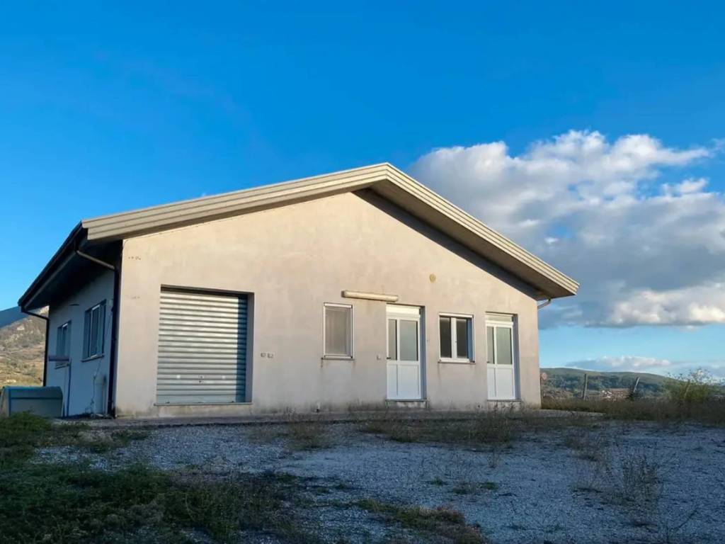 immagine annuncio 1 di 2