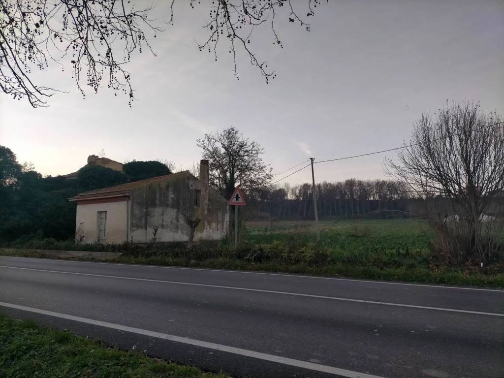 immagine annuncio 3 di 4