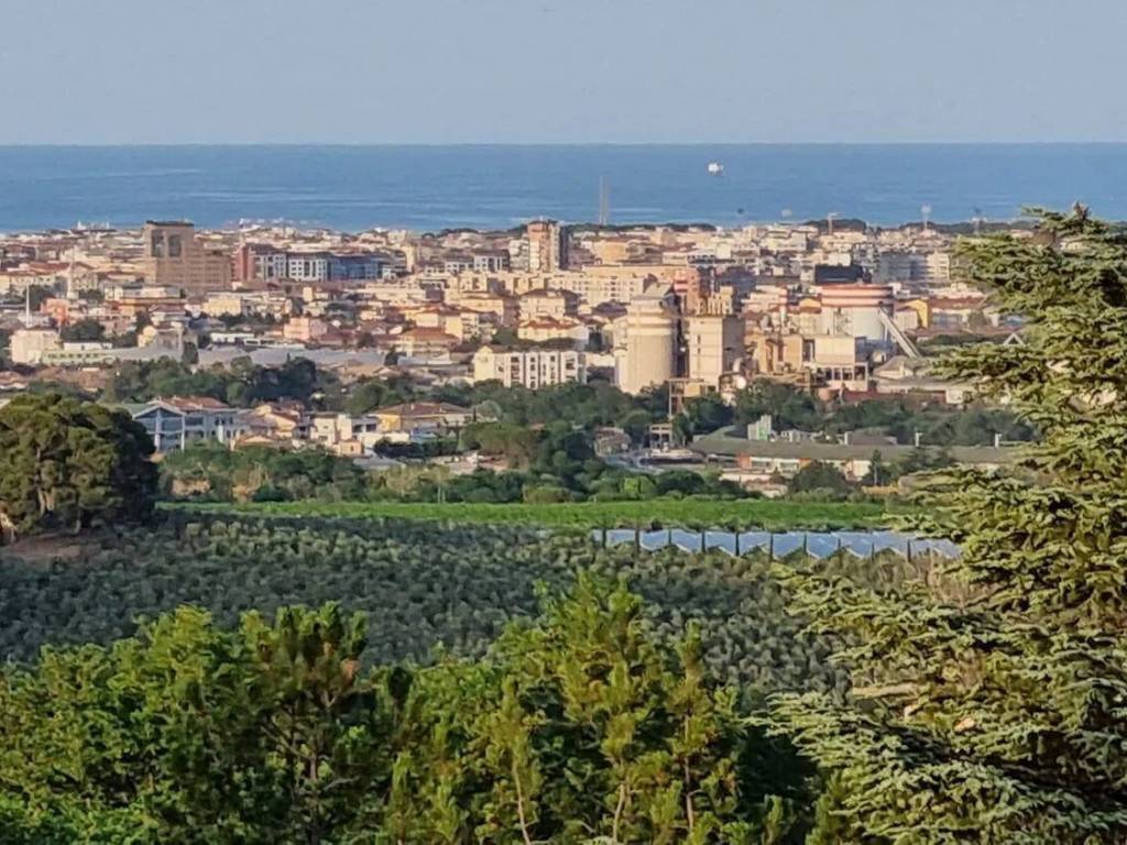 immagine annuncio 1 di 3