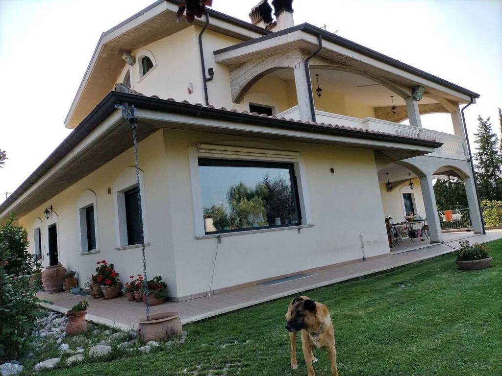 immagine annuncio 3 di 5