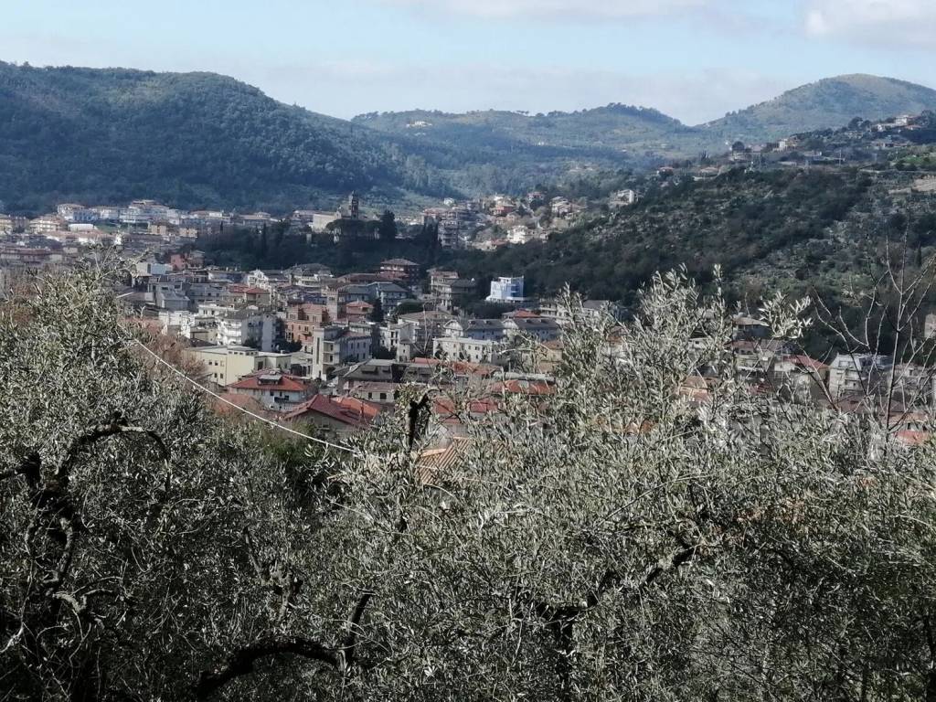 immagine annuncio 1 di 2