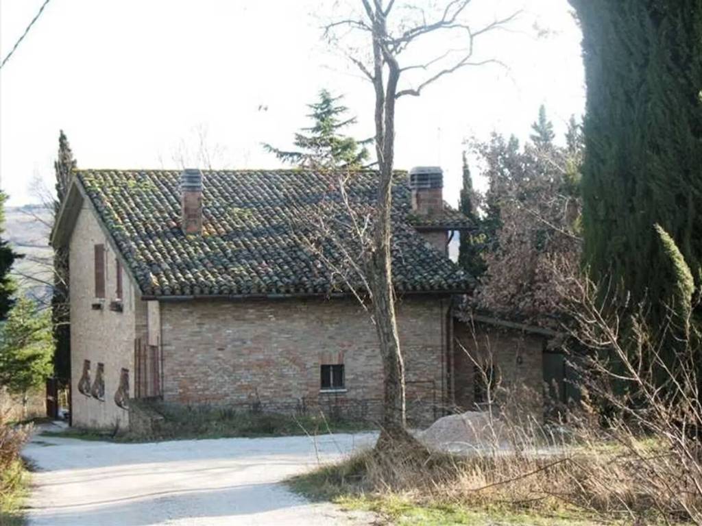 immagine annuncio 1 di 4