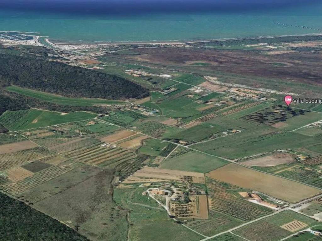 immagine annuncio 2 di 4