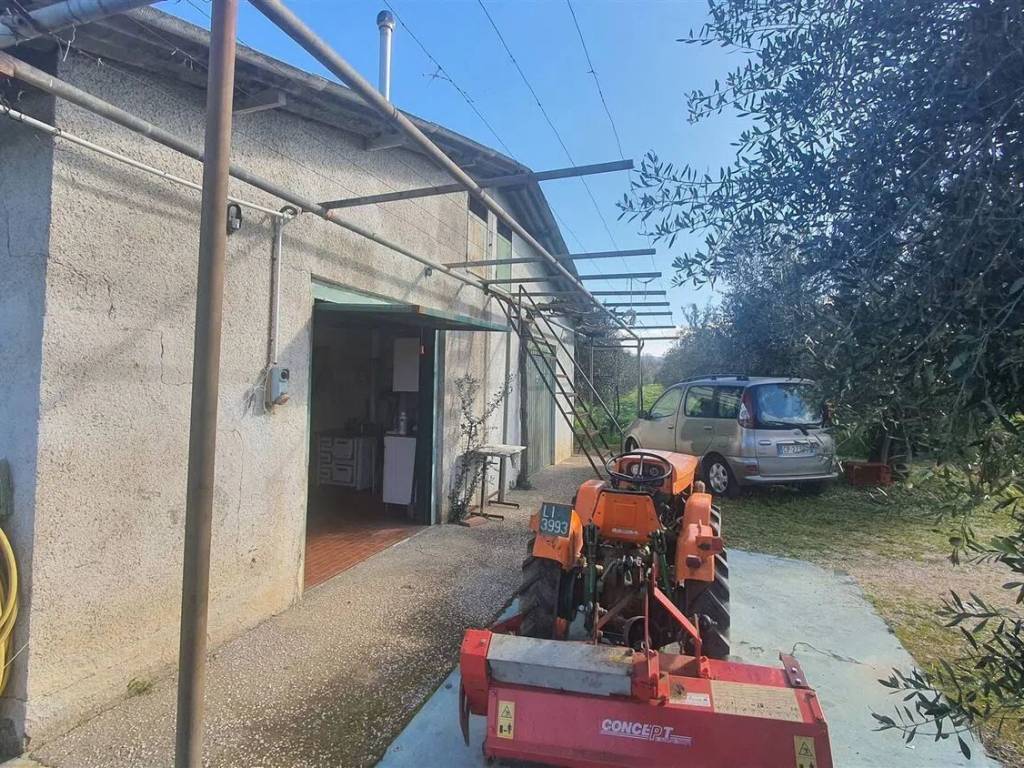 immagine annuncio 2 di 5