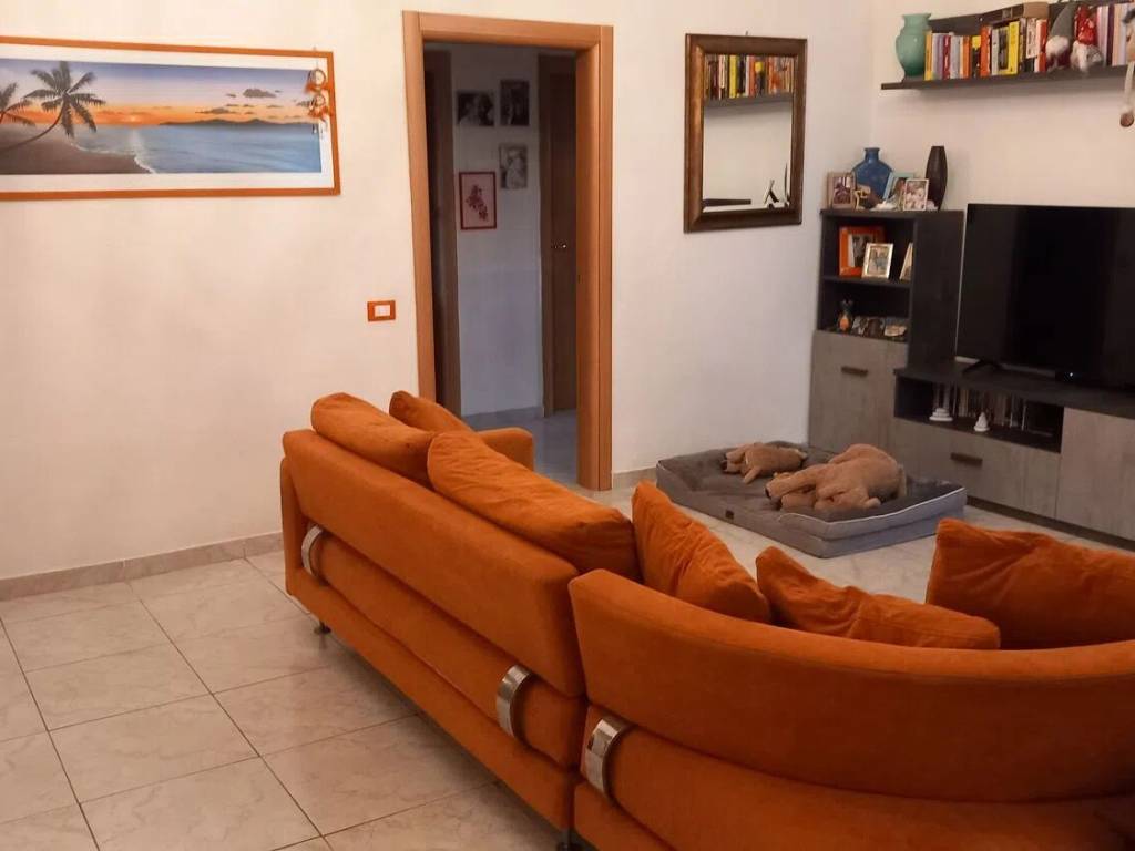 immagine annuncio 2 di 5