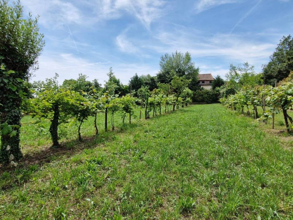 immagine annuncio 2 di 4