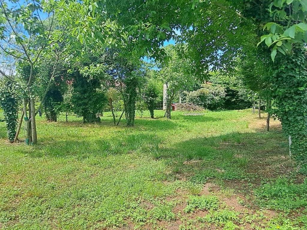 immagine annuncio 3 di 4