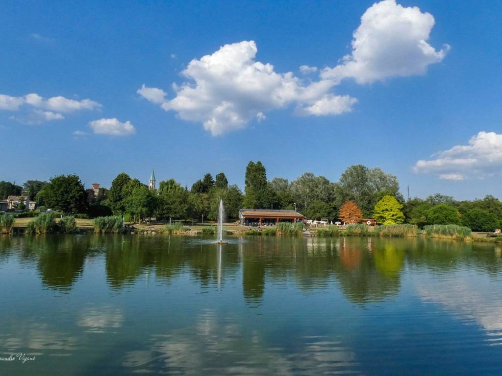 immagine annuncio 3 di 4