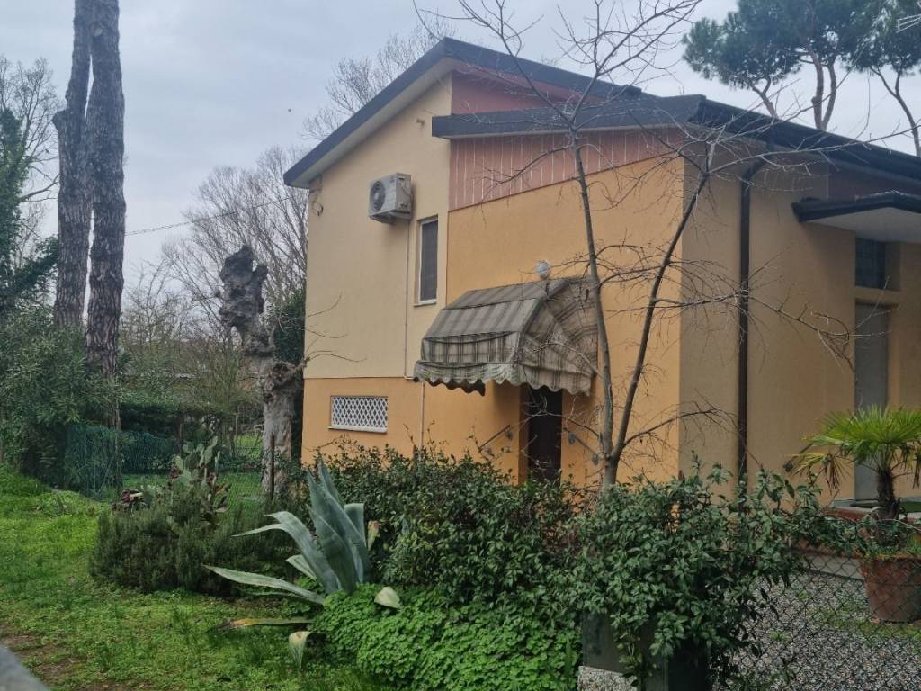 immagine annuncio 2 di 4