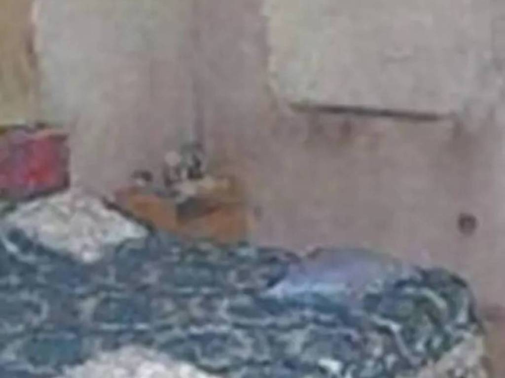 immagine annuncio 1 di 3