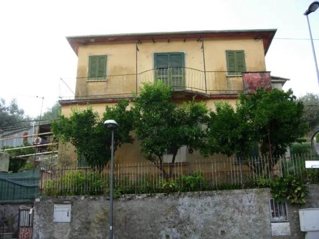 immagine annuncio 2 di 3