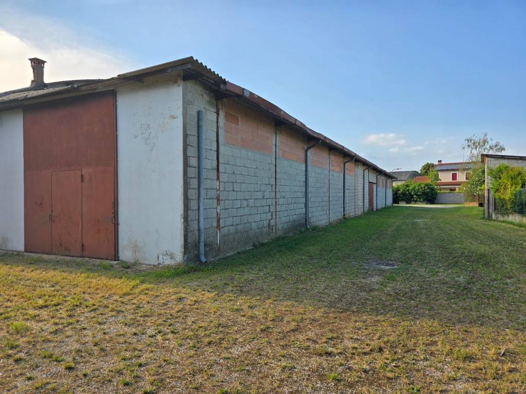 immagine annuncio 3 di 5