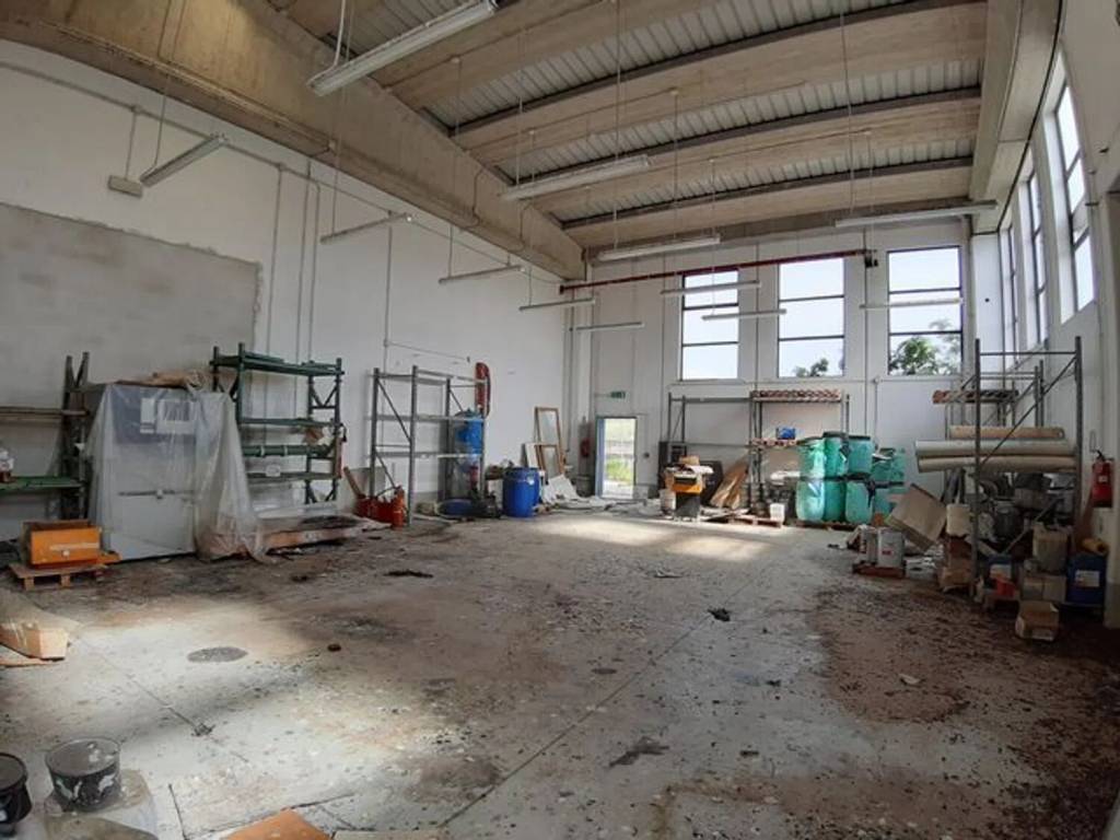 immagine annuncio 3 di 5