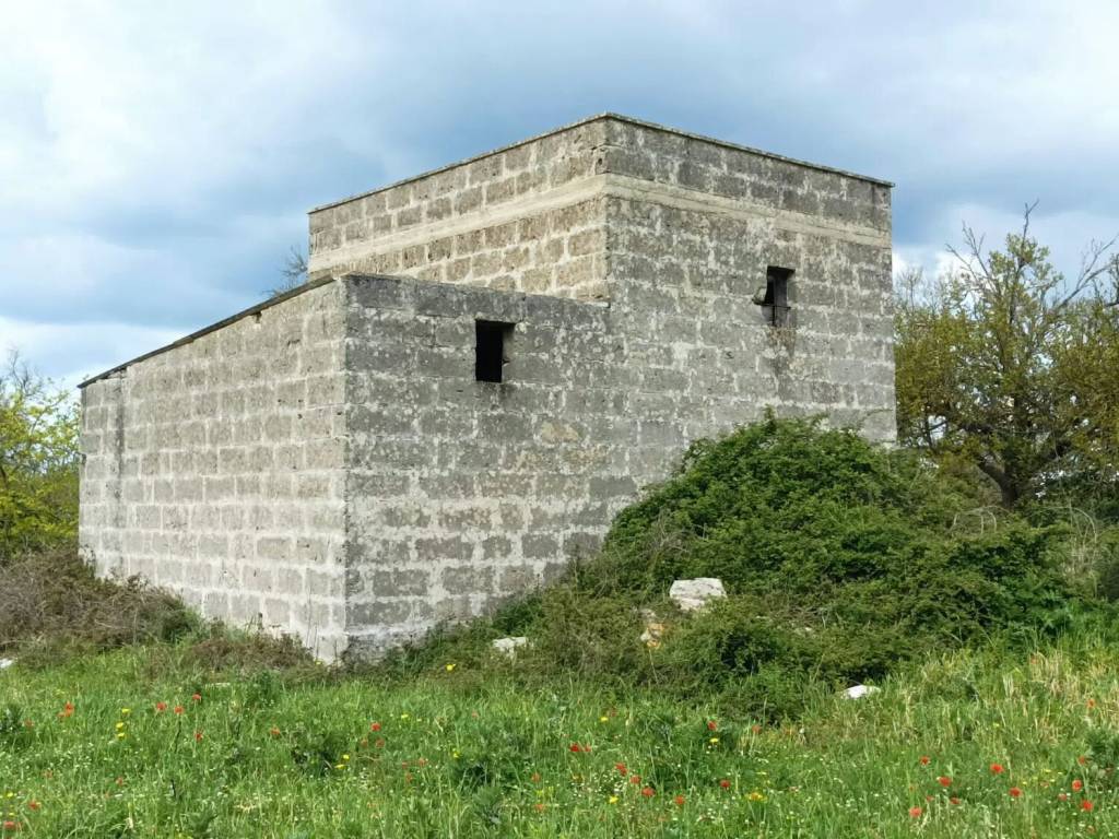 immagine annuncio 2 di 3
