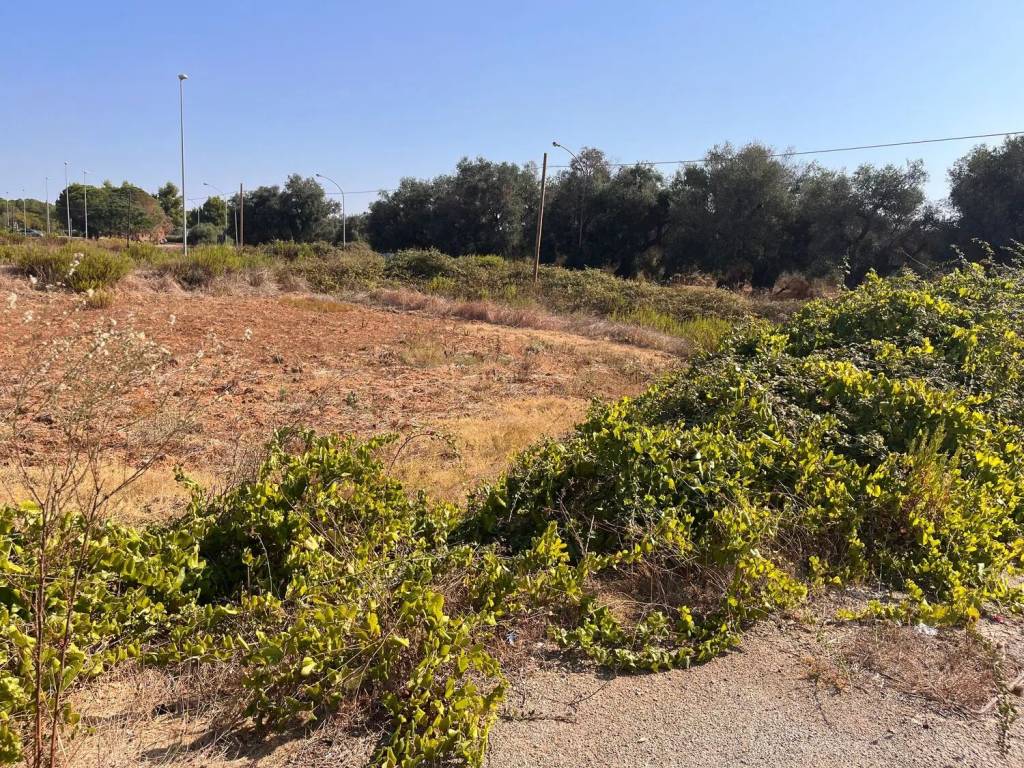 immagine annuncio 2 di 4