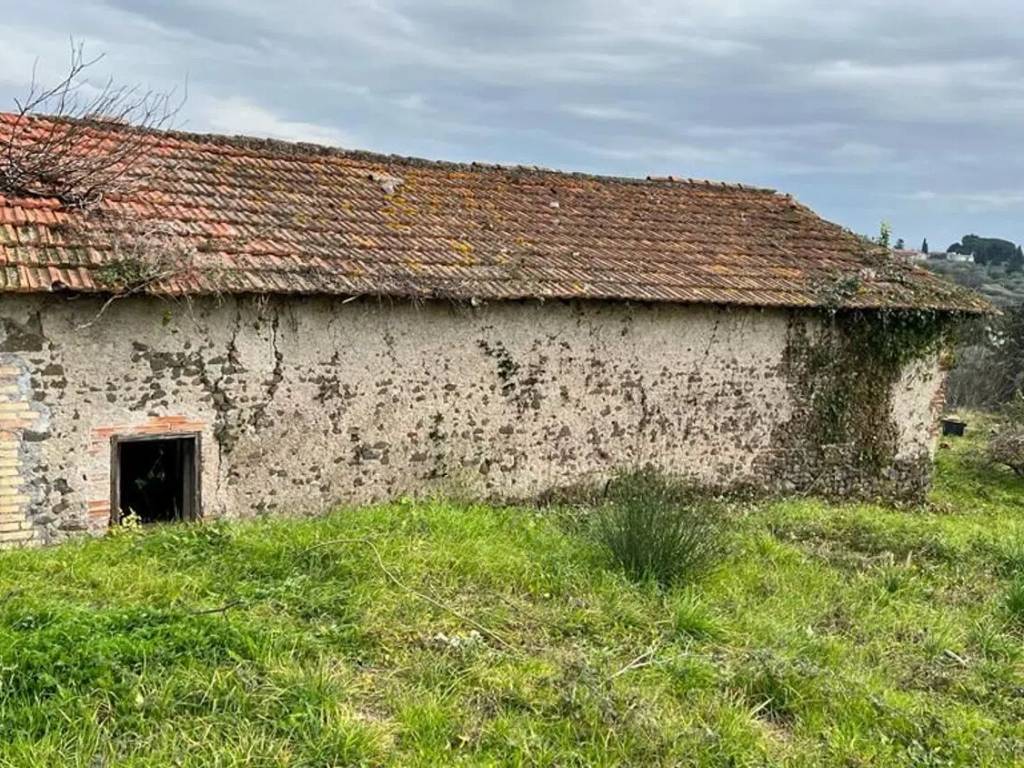immagine annuncio 1 di 4