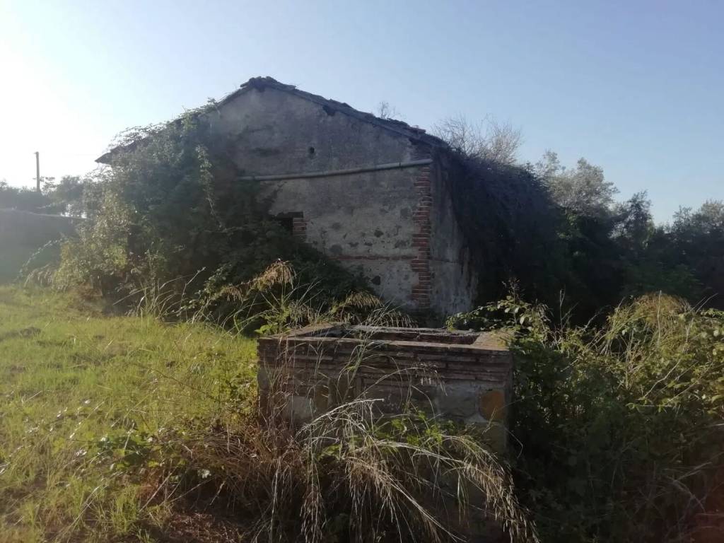 immagine annuncio 2 di 4
