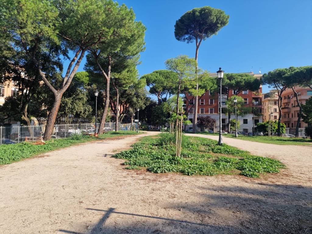 immagine annuncio 1 di 4