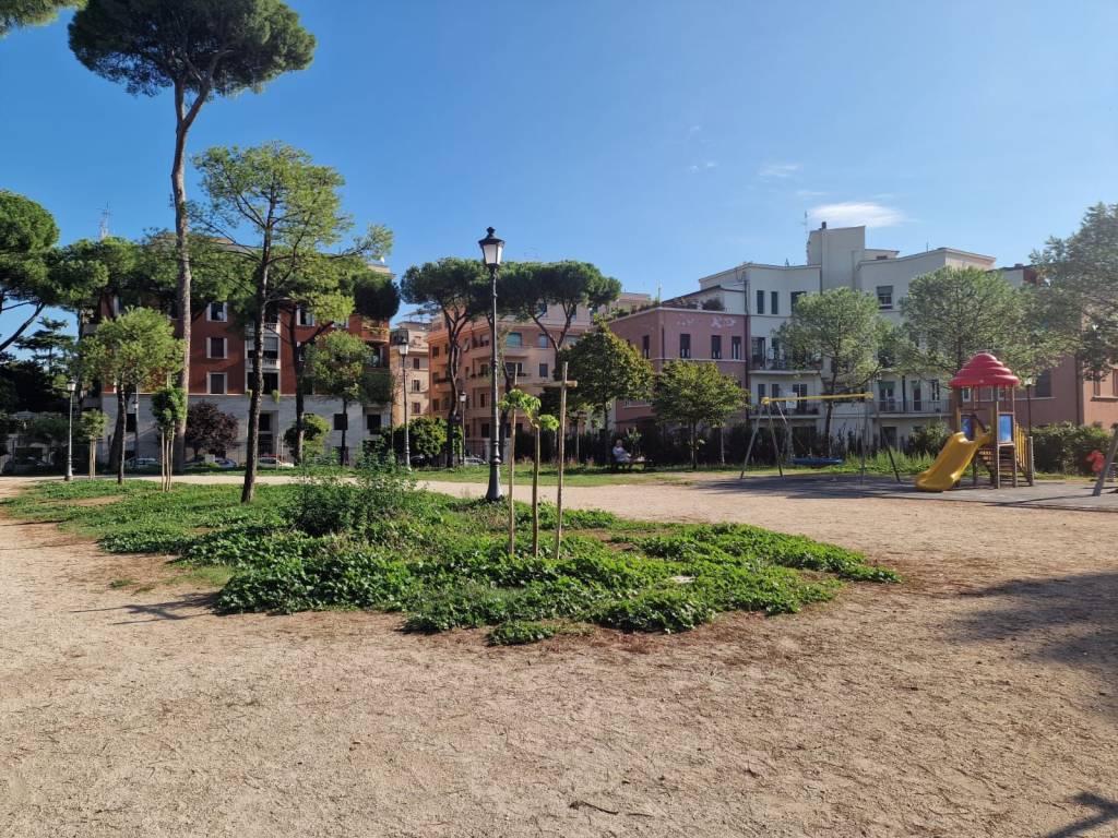 immagine annuncio 2 di 4