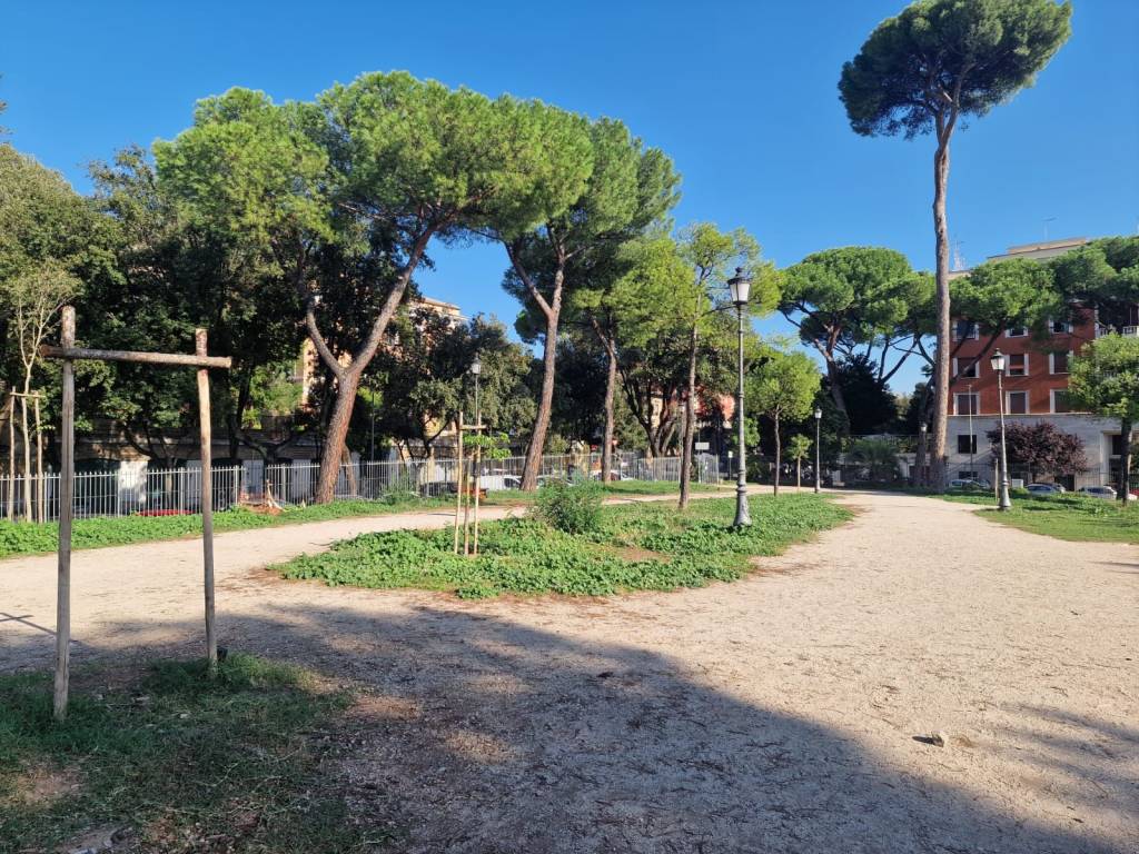 immagine annuncio 3 di 4