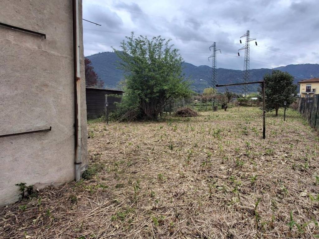 immagine annuncio 2 di 4