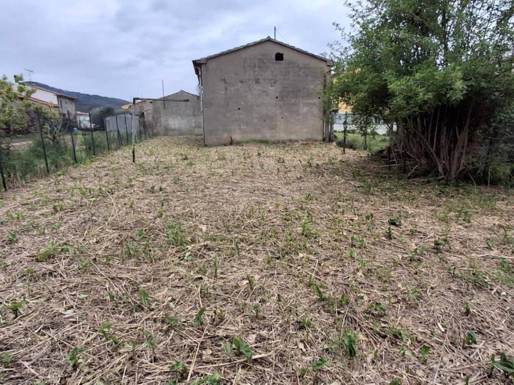 immagine annuncio 3 di 4