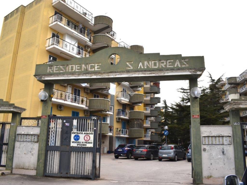 immagine annuncio 2 di 4