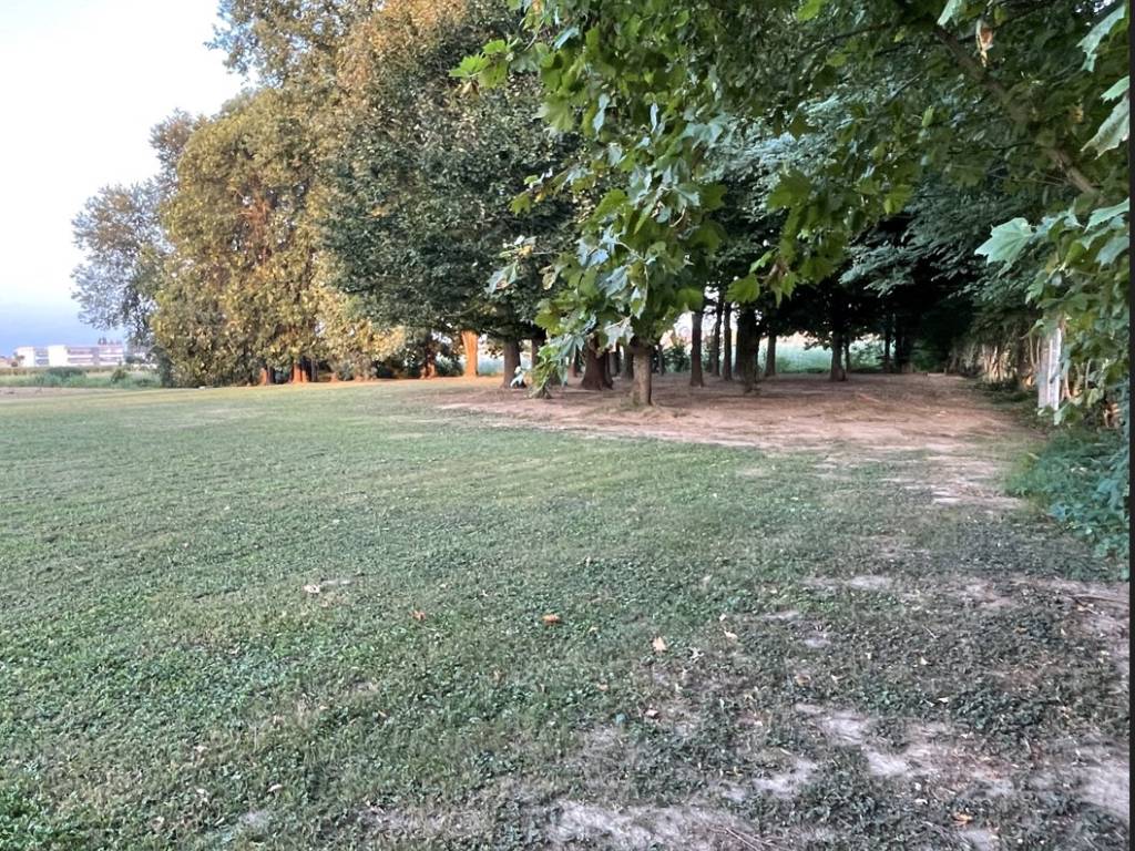 immagine annuncio 3 di 4