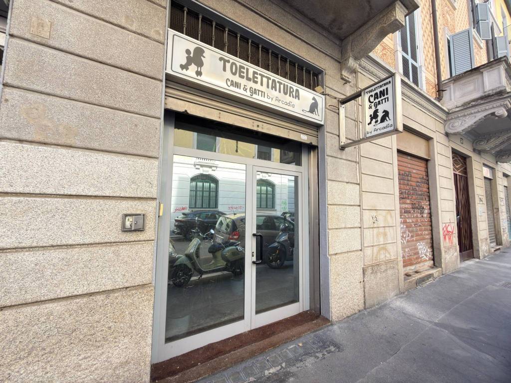 immagine annuncio 1 di 5