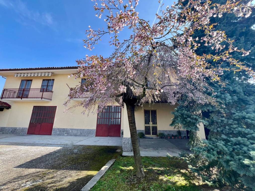 immagine annuncio 1 di 5