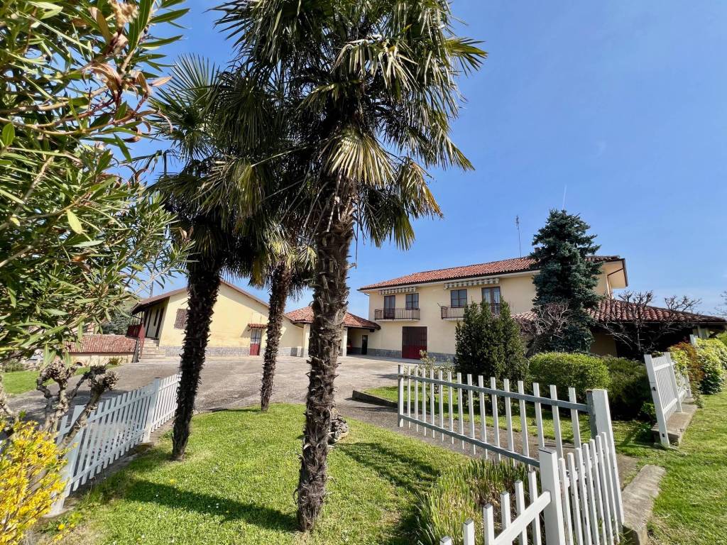 immagine annuncio 3 di 5