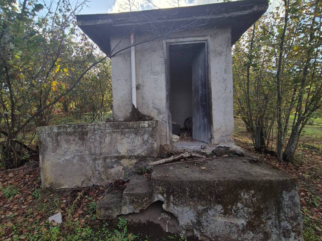 immagine annuncio 1 di 2