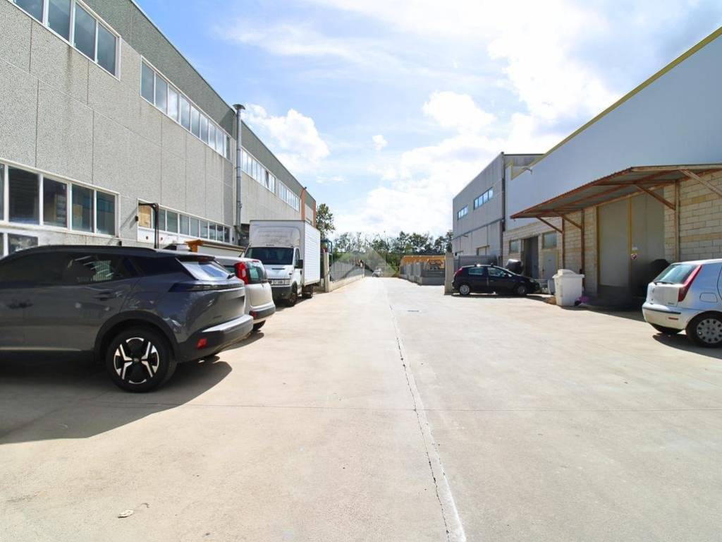 immagine annuncio 2 di 5