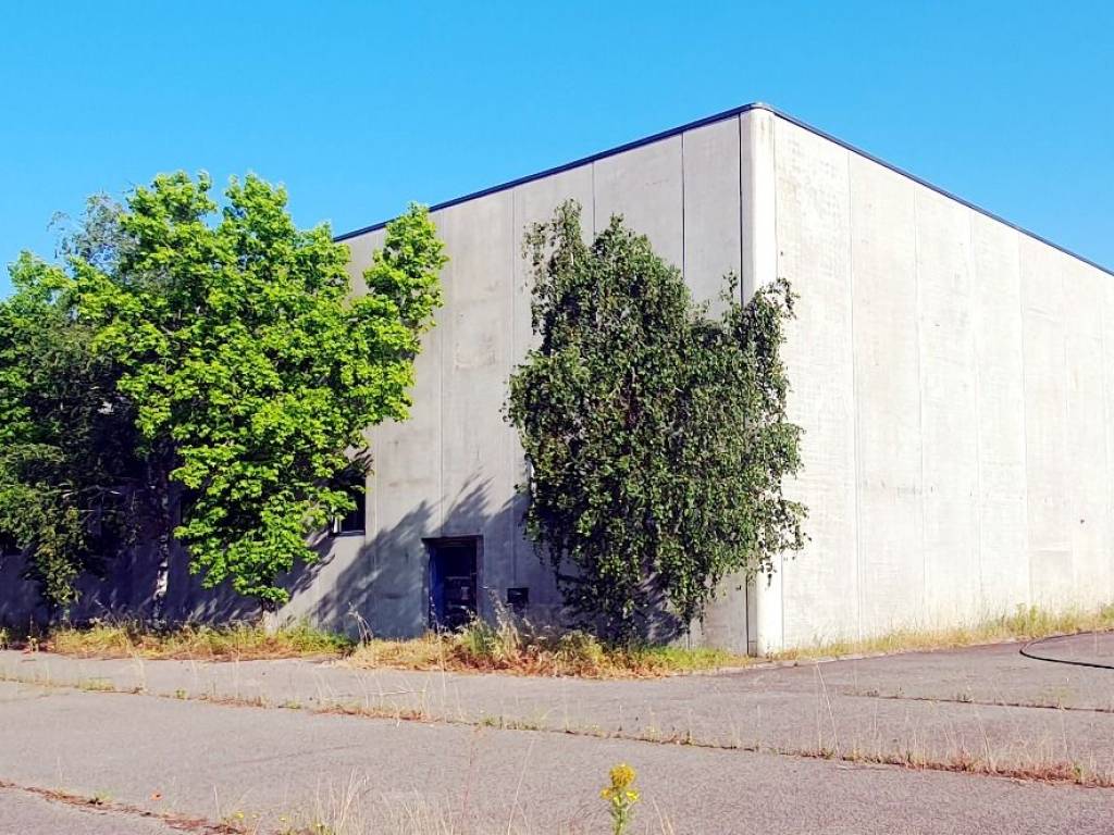 immagine annuncio 2 di 5