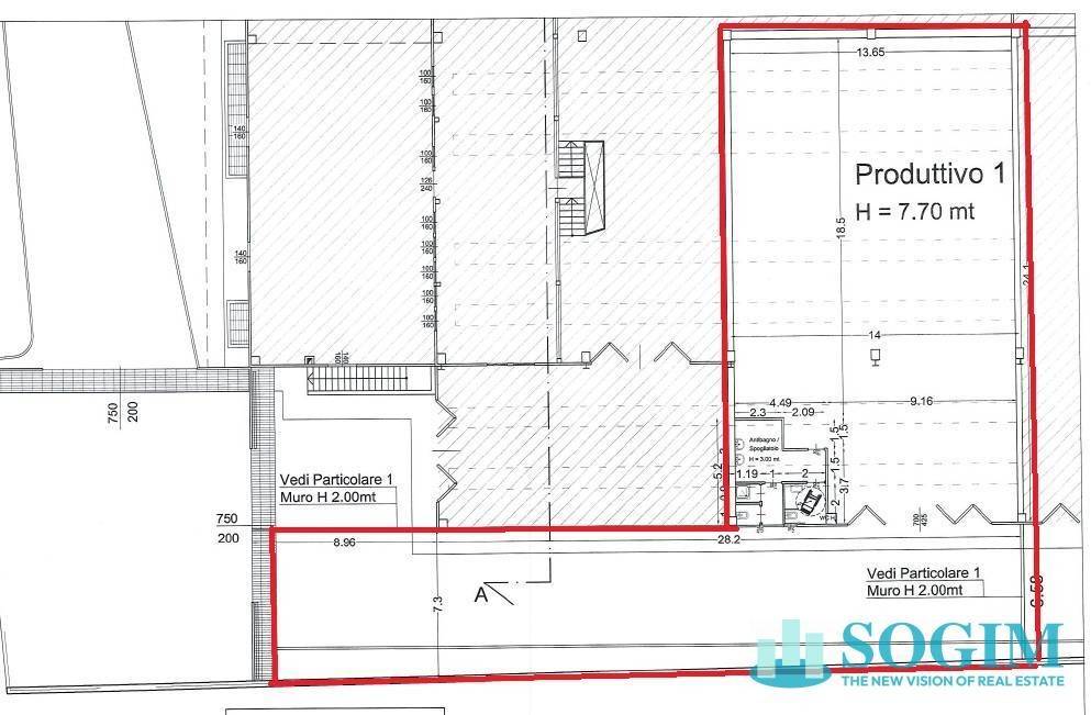 immagine annuncio 2 di 5