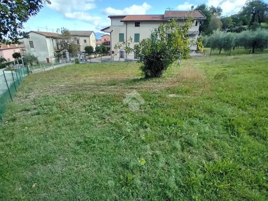 immagine annuncio 2 di 4