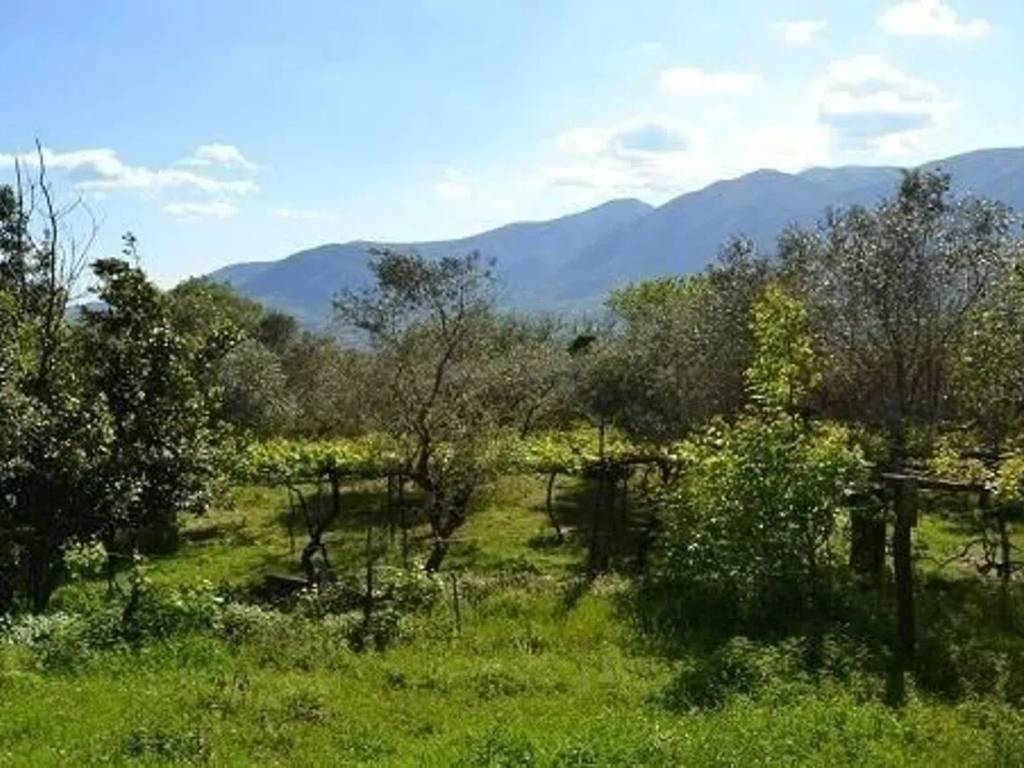 immagine annuncio 2 di 3
