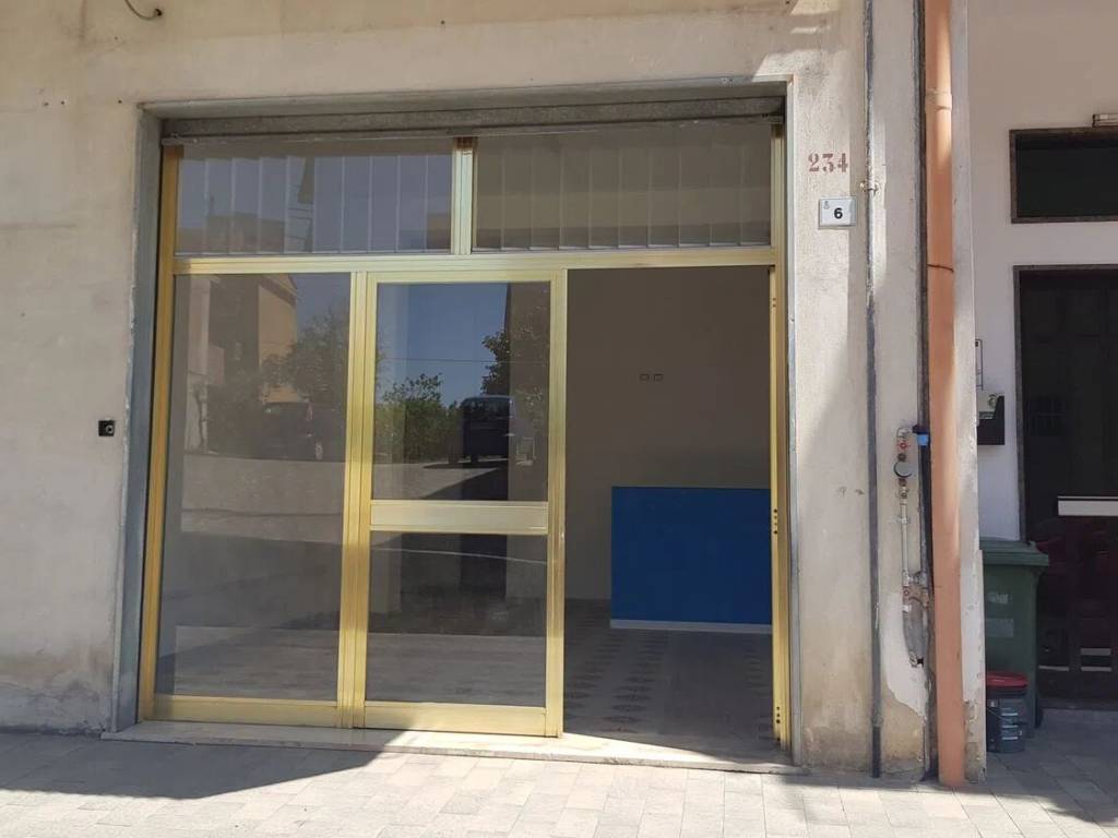 immagine annuncio 1 di 4