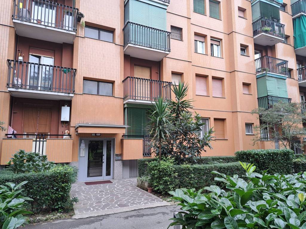 immagine annuncio 4 di 5