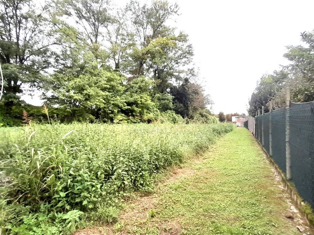 immagine annuncio 2 di 3