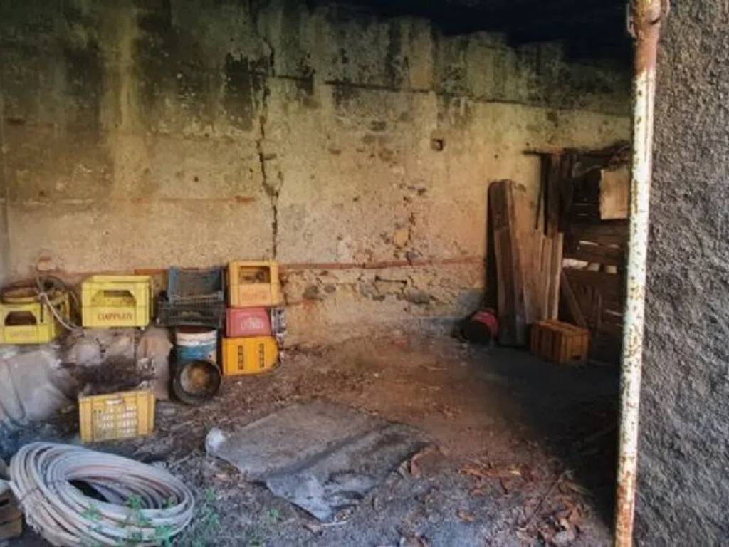 immagine annuncio 2 di 4