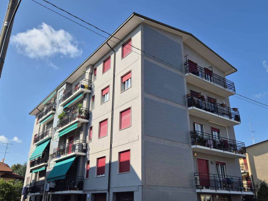 immagine annuncio 4 di 5