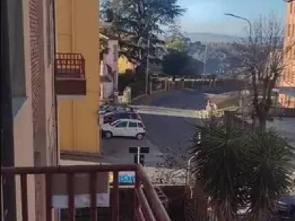 immagine annuncio 1 di 2