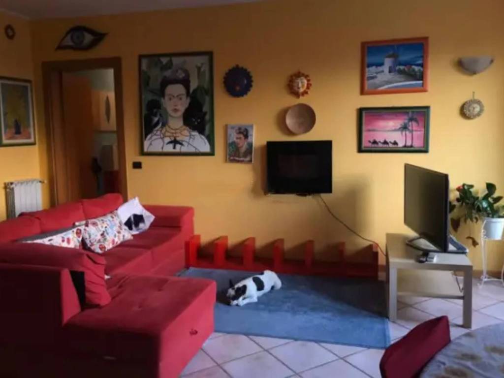 immagine annuncio 1 di 5