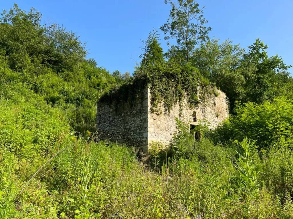 immagine annuncio 3 di 4