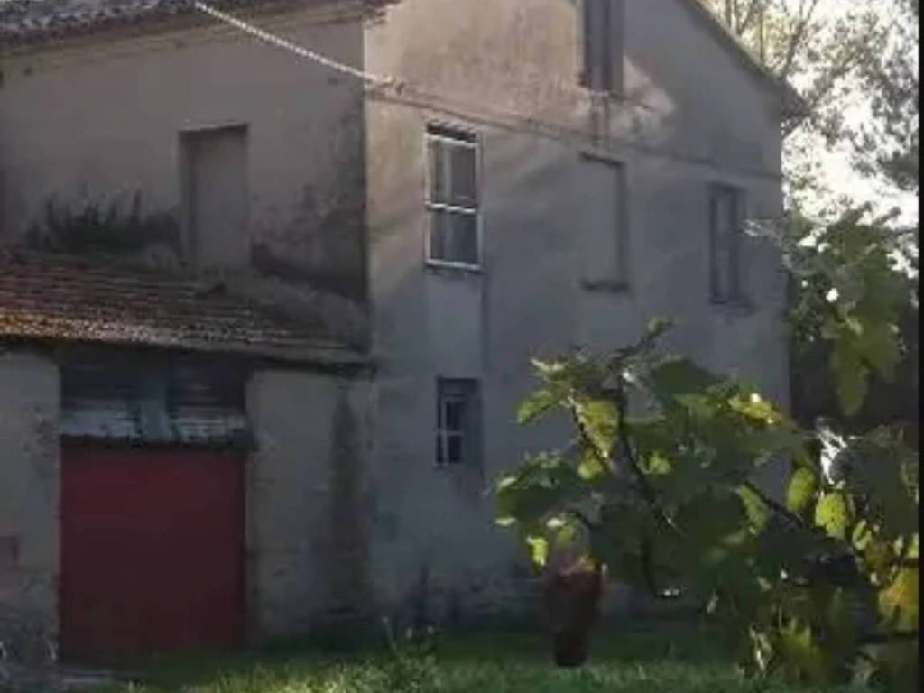 immagine annuncio 1 di 4